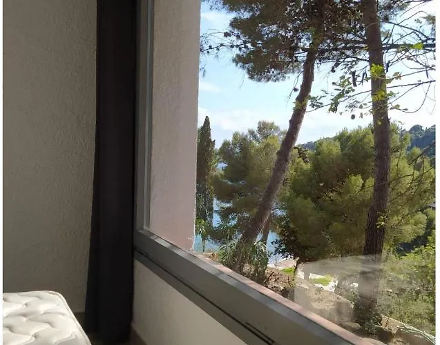 캠프장 Cala Llevado