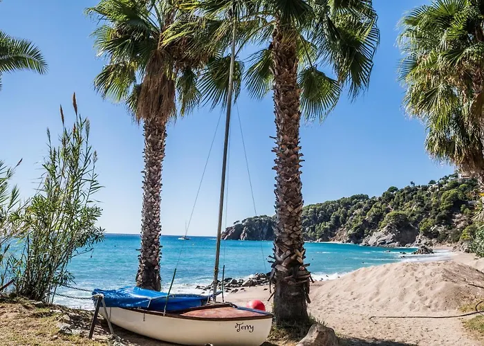 캠프장 Cala Llevado
