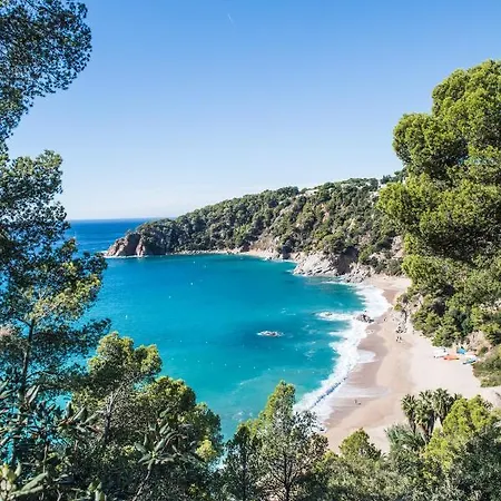 Cala Llevado Campingplads