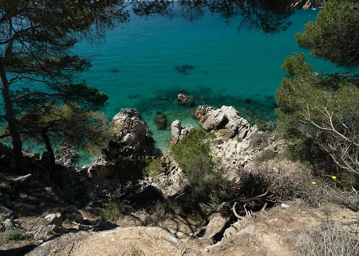 Cala Llevado 캠프장 4*